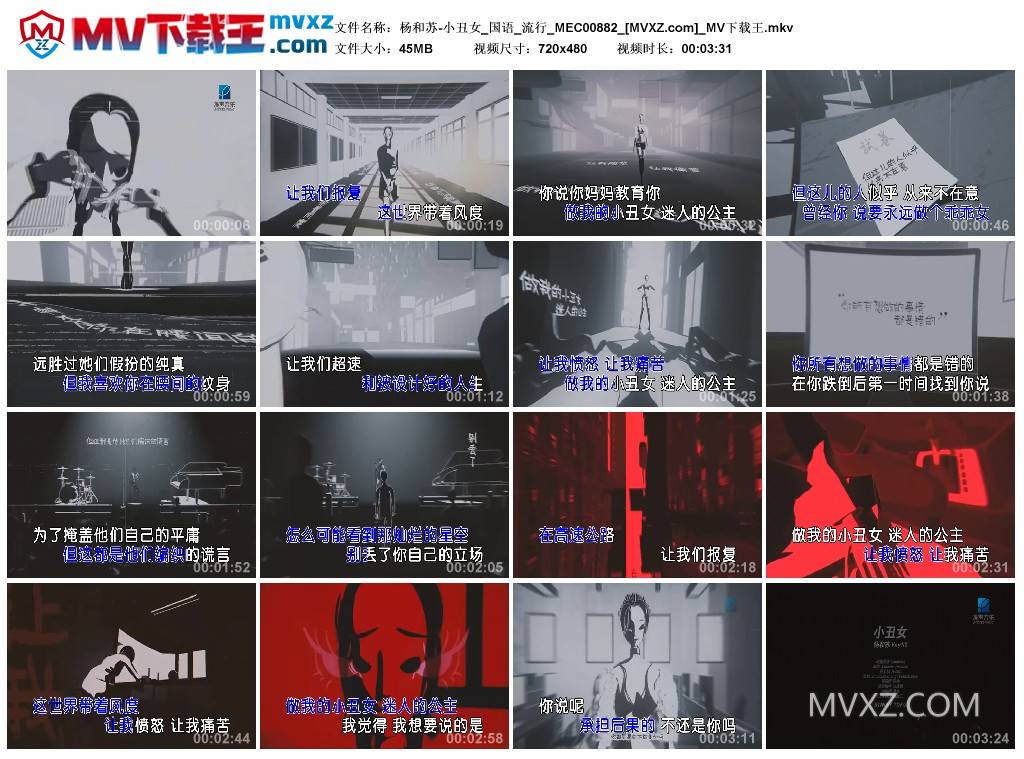 杨和苏-小丑女_国语_流行_MEC00882